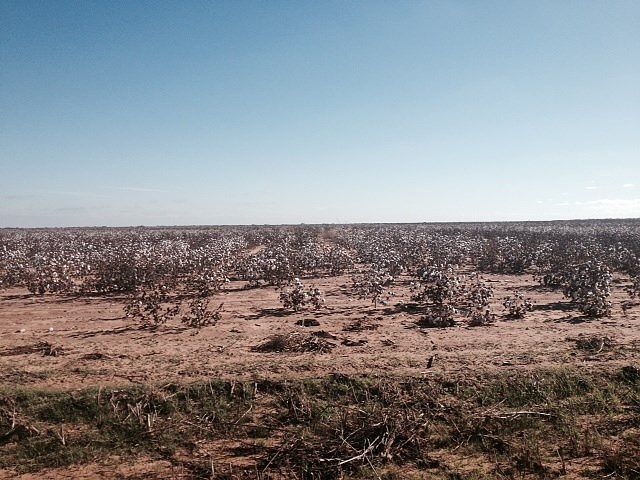 1st image of 11996 County Road 172