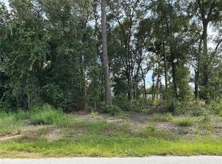 SE 159TH PLACE LOT 59, SUMMERFIELD, FL 34491