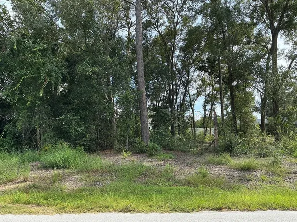 SE 159TH PLACE LOT 59, SUMMERFIELD, FL 34491