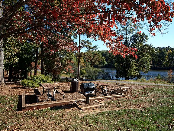 Host a cookout at our apartment's communal grill