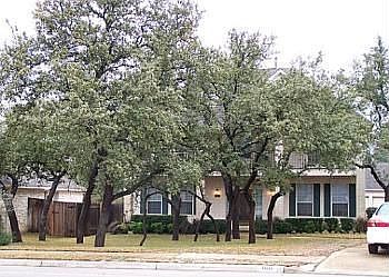 1st image of 1611 Pagedale Dr