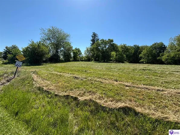 75 Rhodes Rd, Rhodelia, KY 40161