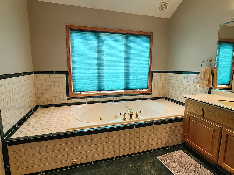 Primary bathroom jacuzzi tub