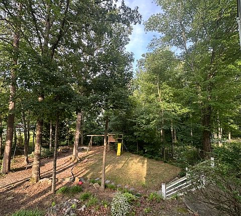 Great backyard.