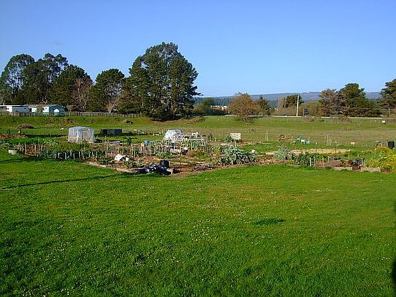 community gardens