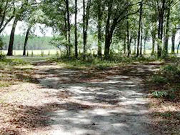 SE Hiawatha Trl, Lee, FL 32059