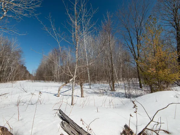 42150 Iris Ave, Harris, MN 55032