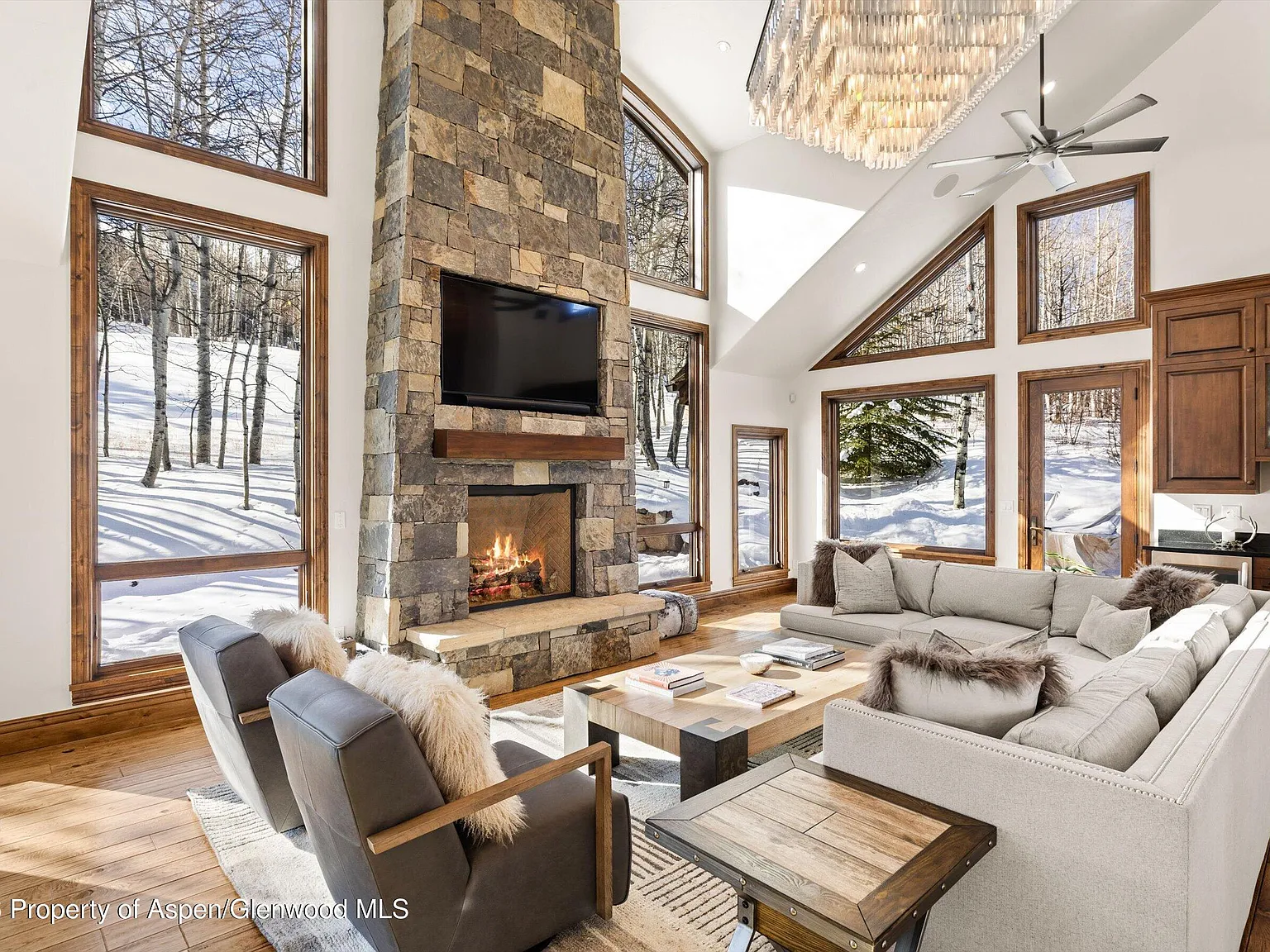 7 bed, 6.5 bath, 4780 sqft, $110,000 — Photo 4