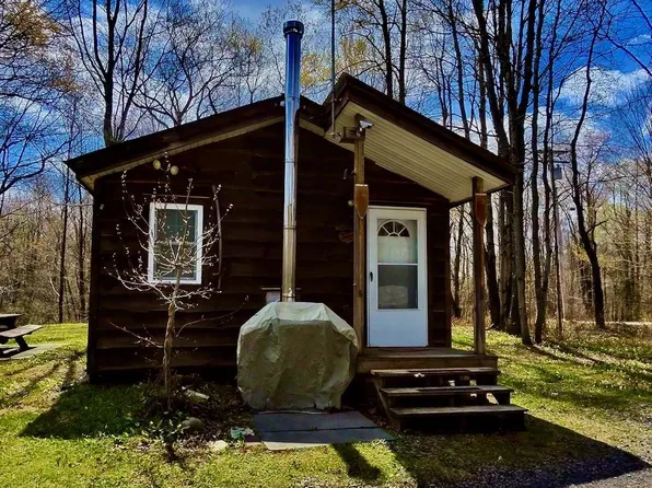 168 Carpenter Rd, Richland, NY 13144