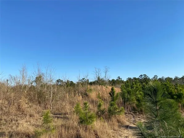 0 College Heights St, Lake Charles, LA 70607