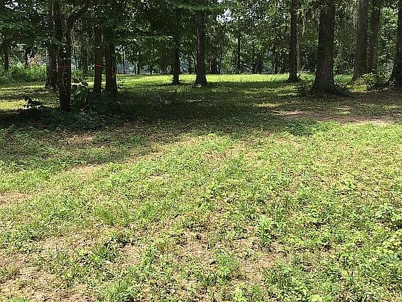4th image of 55 Egrett Ln