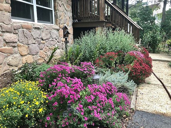 front of house with flowers