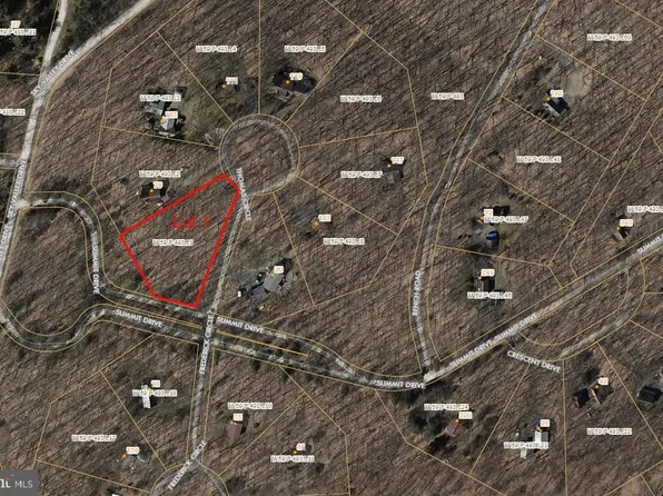 1 Thomas, Swanton, MD 21561