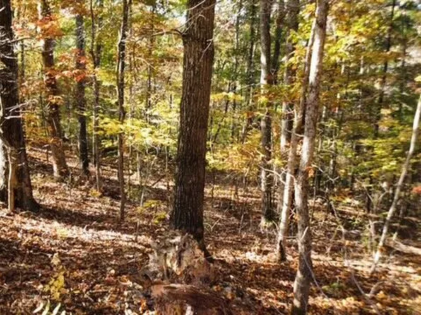 36235 Perry Ridge Rd, Wilkesville, OH 45695