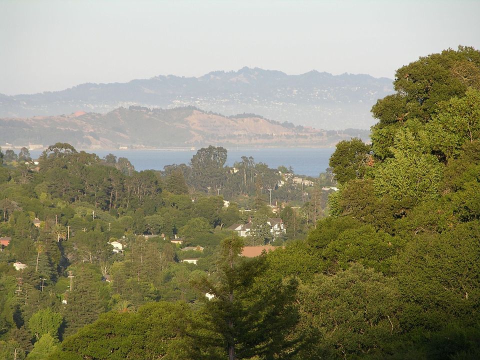 Distant Bay views