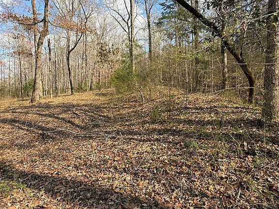 5th image of 37 Shadow Creek Loop