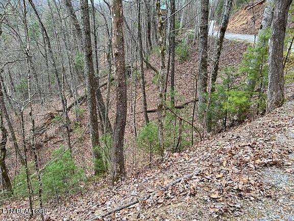 4th image of 0 Sunset Rd Lot 4