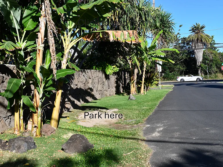 Parking alongside the rock wall between our banana trees.