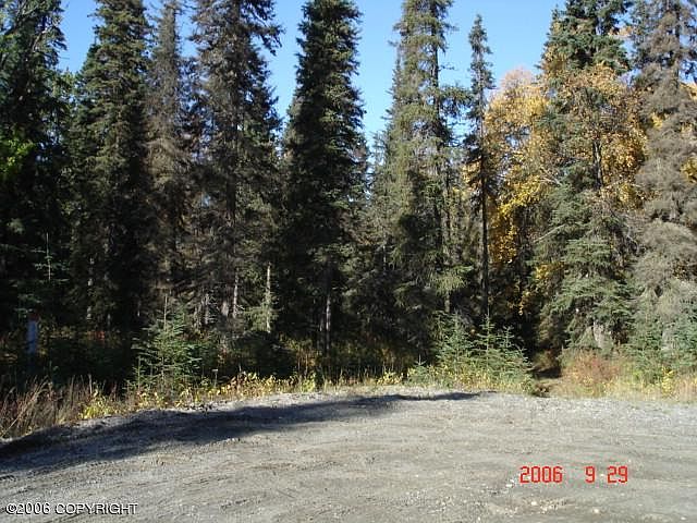 1st image of L10-11 Fireweed Pl