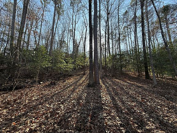 3rd image of 133 Sweet Gum Dr