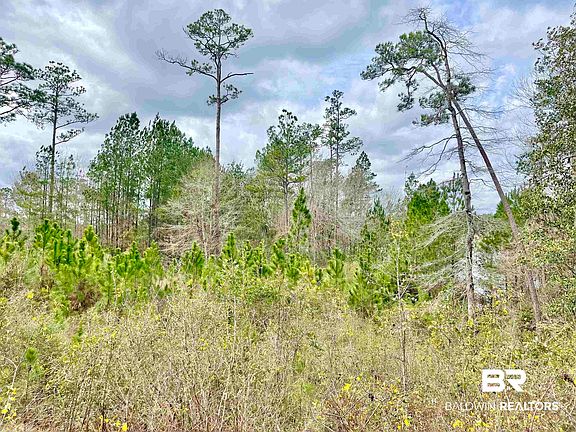 3rd image of 0 Lake Juniper Rd