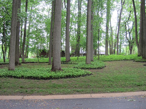 Street View - Very Quiet 