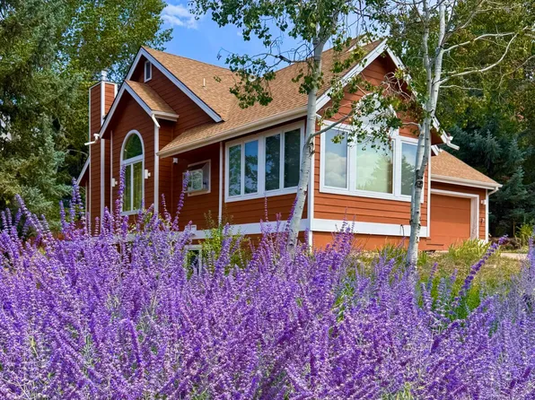 985 Lupine Cir, Basalt, CO 81621