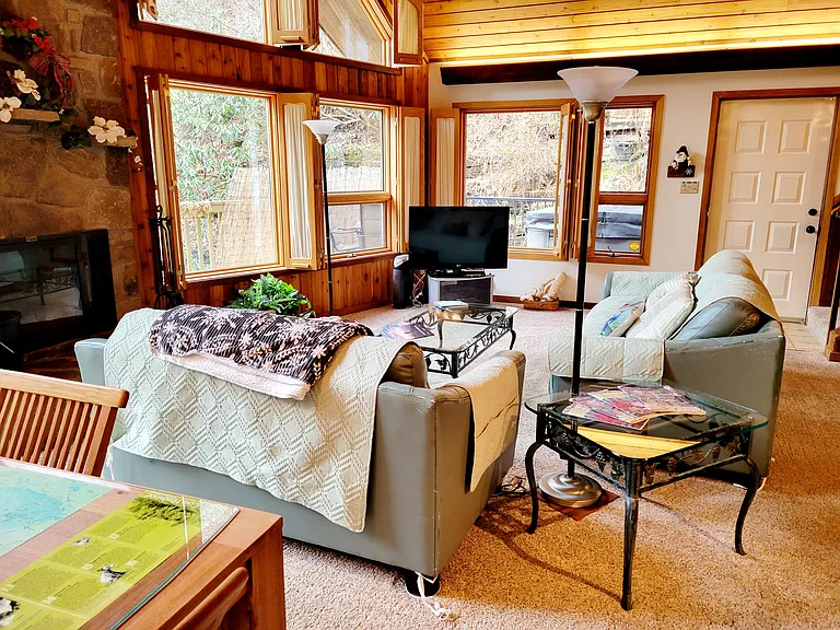 1103 Ski Mountain Rd — Photo 7