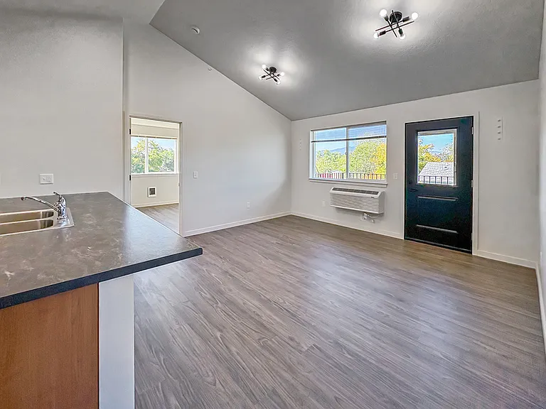 735 S Grant St #101 — Photo 10