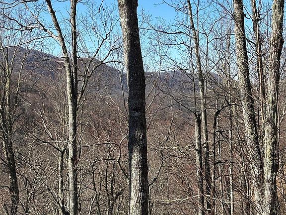 4th image of 23 Screech Owl Cir