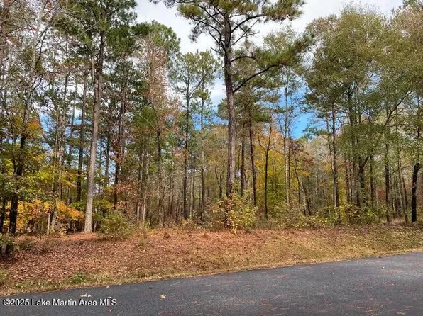 31 Buckview Ln Lot 13, Dadeville, AL 36853