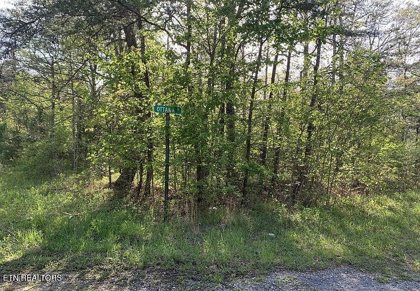 2nd image of 1035 Redwing Dr