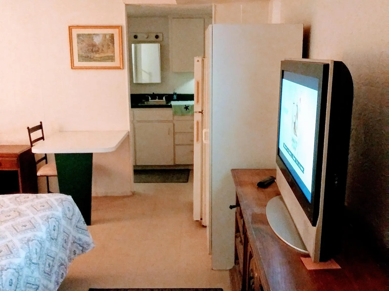 Studio, 264 sqft, $950 — Photo 3