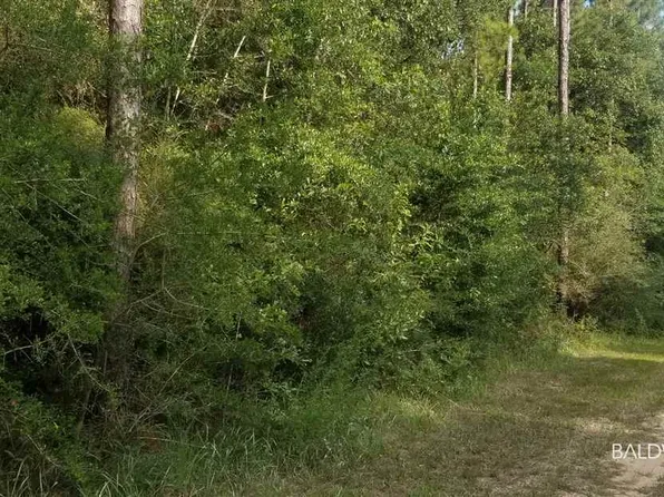 0 Vaughn Rd, Seminole, AL 36574