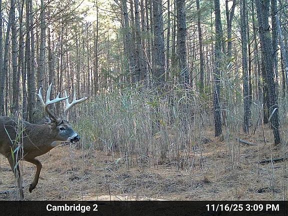 3rd image of Hudson Rd