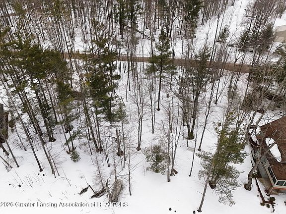 3rd image of 0 Leelanau Trl