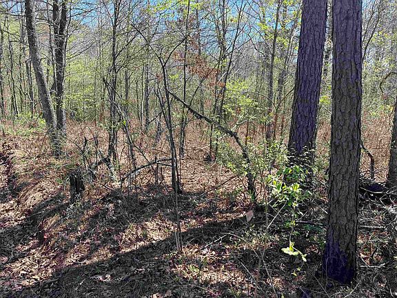 4th image of 0 Everitt Rd