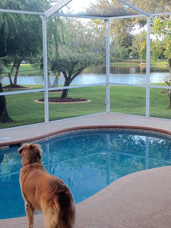 1217 Rambling Vine Ct, New Port Richey, FL 34655 Zillow