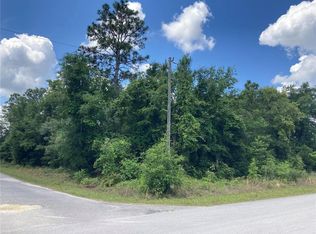 SW Tarpon Blvd LOT 1, Dunnellon, FL 34431