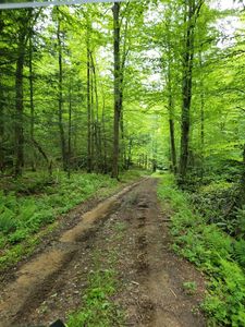 N/a Sec Rte #19/9, Summersville, WV, 26651
