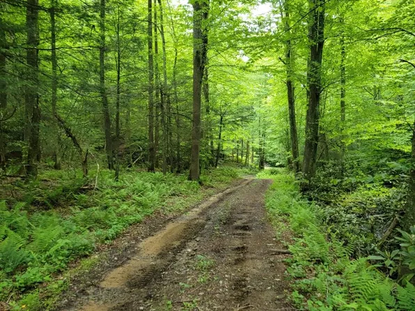 N/a Sec Rte #19/9, Summersville, WV 26651