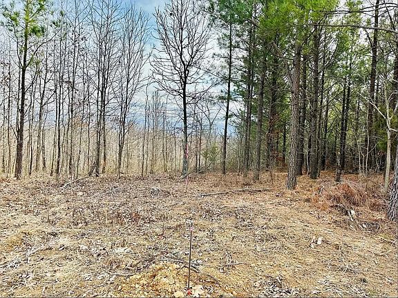 5th image of 48 Ranches At Hickory Rdg