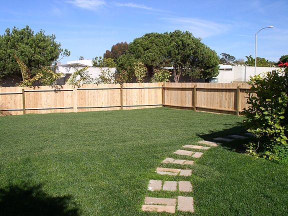 back yard