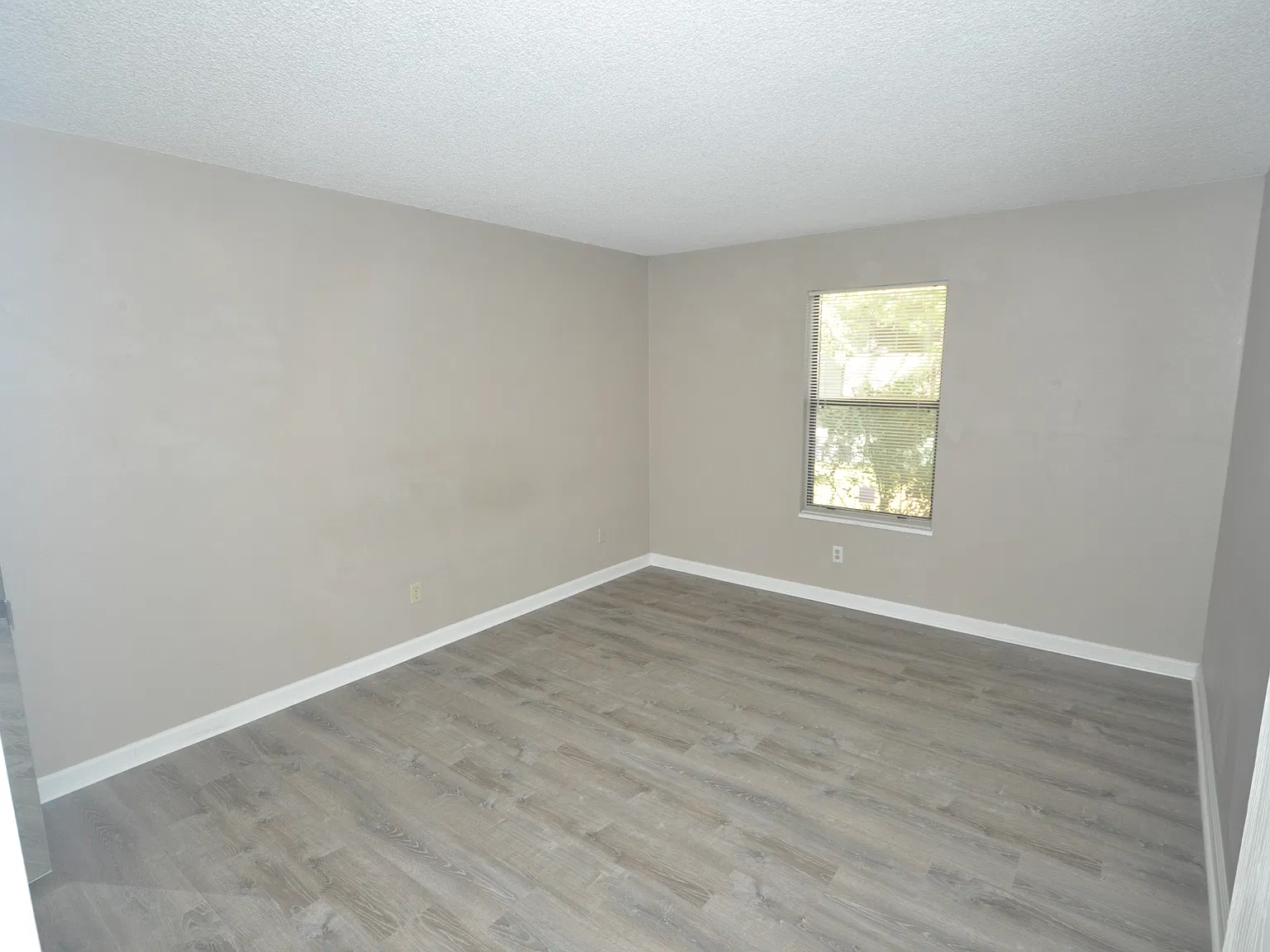 1 bed, 723 sqft, $1,250 — Photo 4