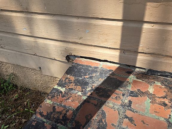 3rd image of 527 Fulton Ave
