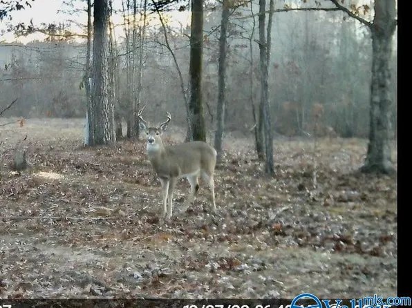 Tracts 6 7 8 County Rd #155, Centre, AL 35960