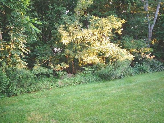 5th image of 6429 Forest Gln