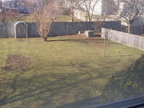 Backyard view from Master BR