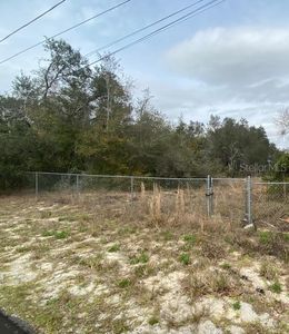 Larch Radial Crse, Ocala, FL, 34480