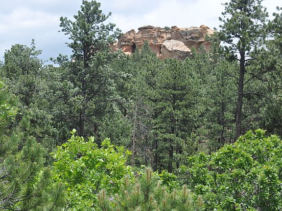 Distant Elephant Rock view